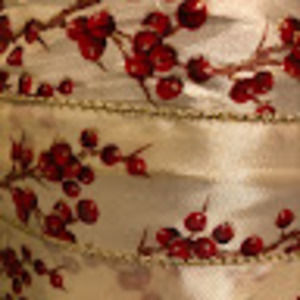 Meet your Posher, Anastasia